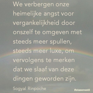 ... slaaf van deze dingen geworden zijn.' - Sogyal Rinpoche #staeensstil