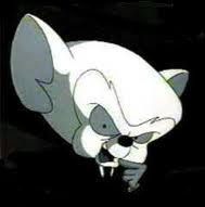 Brain: Pinky and the Brain