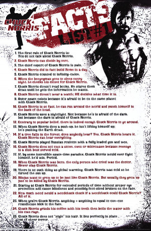 CHUCK NORRIS FACTS POSTER ]