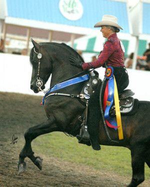 NSH: http://162.40.35.9/Data/Images/Scan0009%20(2).jpg