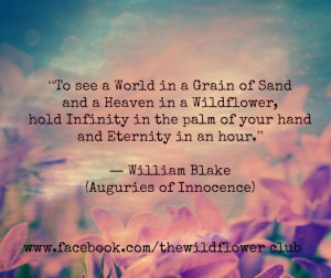 wiliam blake wildflower quote