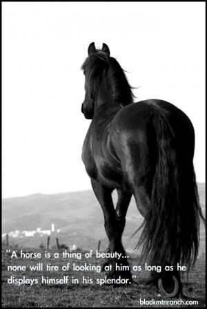 Be sure to check out the rest of our Horse Quotes and Cowgirl Quotes ...