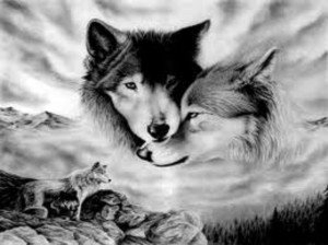 Wolf lovers place spirit wolves