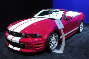 Showing Gallery For White And Pink Mustang 2014