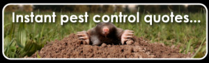 Instant pest control quotes for free. Get up to 5 quotes from local ...