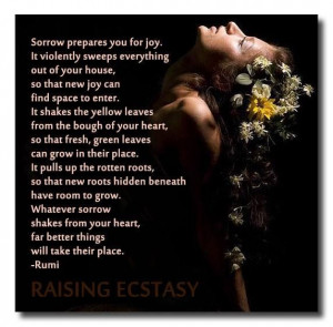 Rumi, shared from Raising Ecstasy, FB