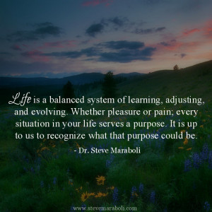 Life is a balanced system of learning, adjusting, and evolving ...