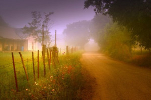 Have you noticed how seldom you see a good country dirt road these ...