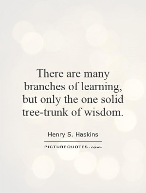 Wisdom Quotes Learning Quotes Tree Quotes Henry S Haskins Quotes