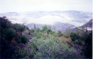 Sharafat - شرفات : Palestine's Mountains Beyond Sharafat #2