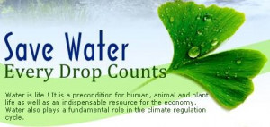 Importance Of Water Quotes. QuotesGram