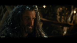 Thorin Oakenshield Thorin Oakenshield - The Hobbit: The Desolation of ...