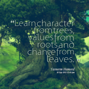 Learn character from trees, values from roots and change from leaves.