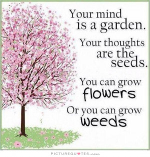 ... Quotes Positive Attitude Quotes Garden Quotes Negativity Quotes Mind