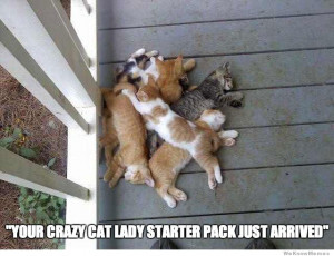 Your Crazy Cat Lady Starter