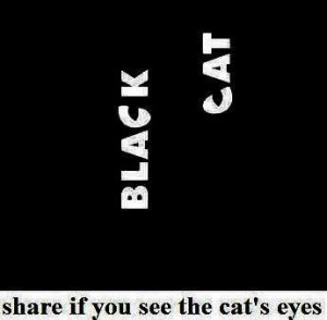 can you see the cat's eyes?