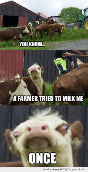 farmer milk me once crazy mad cow animal funny pics pictures pic ...