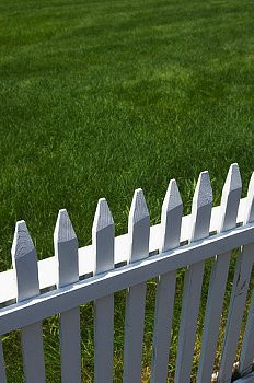 The New American Dream