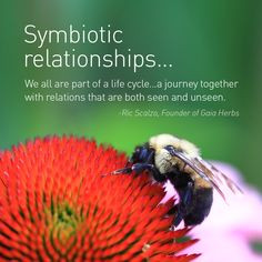 Symbiotic relationships. We are all part of a life cycle ... a journey ...