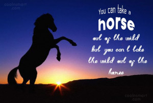 Horse Quotes and Sayings