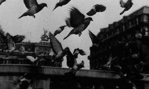 ... Chris Marker n&b film français La Jetee moyen métrage Photo-roman