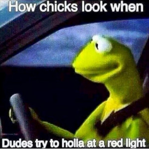 Top 20 Funniest Kermit The Frog Memes