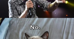 Grumpy Cat Christmas Quotes