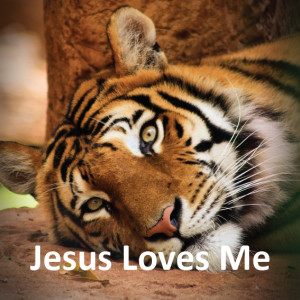 Jesus Loves me Quotes Bible Jesus Loves me Tigers