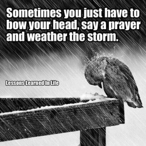 Weathering the Storm