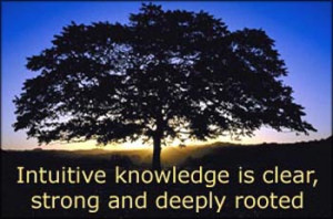 Big tree in silhouette in the sunset: Intuitive knowledge is clear ...