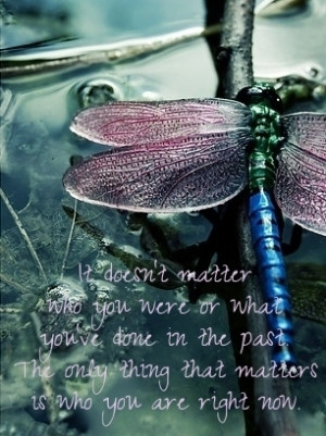 Shallow Men Quotes Both wonderful people