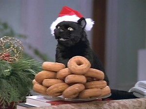 Salem Saberhagen Salem