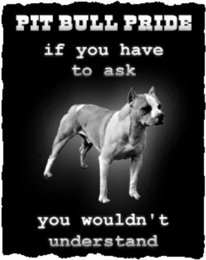 Cute Pitbull Quotes