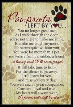 ... that you have when you #dog #cat crosses the rainbow bridge Click here