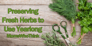 Preserve Your Fresh Herbs to Use Yearlong