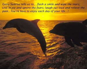 love dolphins!