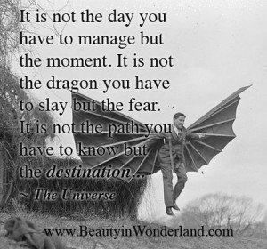 is not the day you have to manage but the moment. It is not the dragon ...