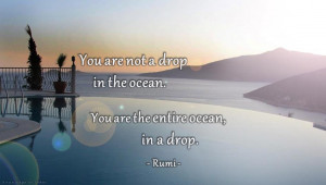 You+are+not+a+drop+in+the+ocean+you+are+the+entire+ocean+in+a+drop.jpg