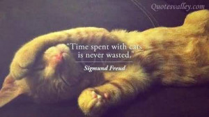 Time Spent With Cats Is Never Wasted