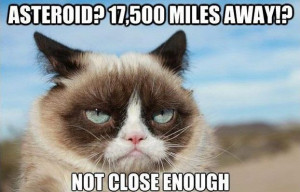 Grumpy Catsmemes Funny Cat Pictures With Captions