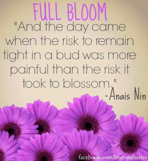 Bloom quote via www.Facebook.com/BecomeBetter and www.BecomeBetter.tv
