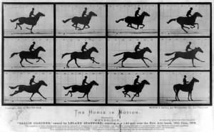 The First Motion Picture Ever Made - The Horse In Motion (1878)