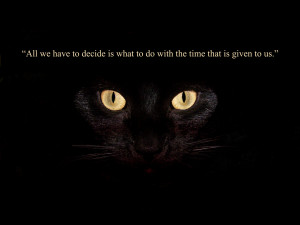 Famous Wisdom Quotes and Sayings