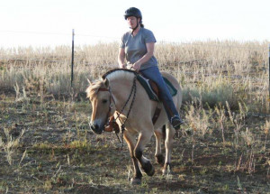 Nellie is beginning to think this is a lot of work