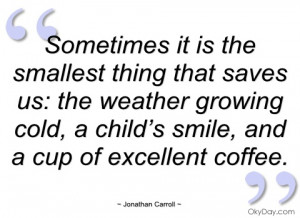 sometimes it is the smallest thing that jonathan carroll