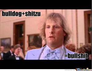 Funny Part In Dumb And Dumber