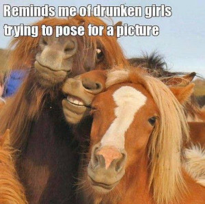 ... Funny Animals , Funny Pictures // Tags: Funny horses - Reminds me of