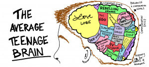 the teenage mind is a manic place to be in teenagers also known as ...