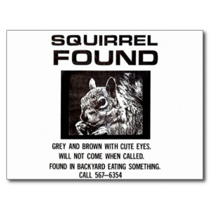 funny_squirrel_cartoon_post_cards-ra0ad385bab454890a75cdb3b26d9c3e2 ...