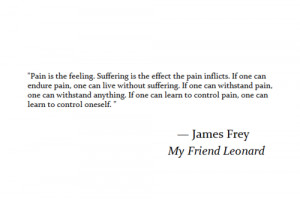james frey #my friend leonard #quote
